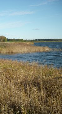 Der Bodden